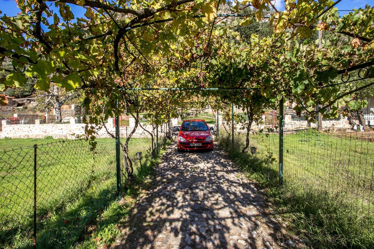 Ifigenia Theriso Village Thérison Buitenkant foto